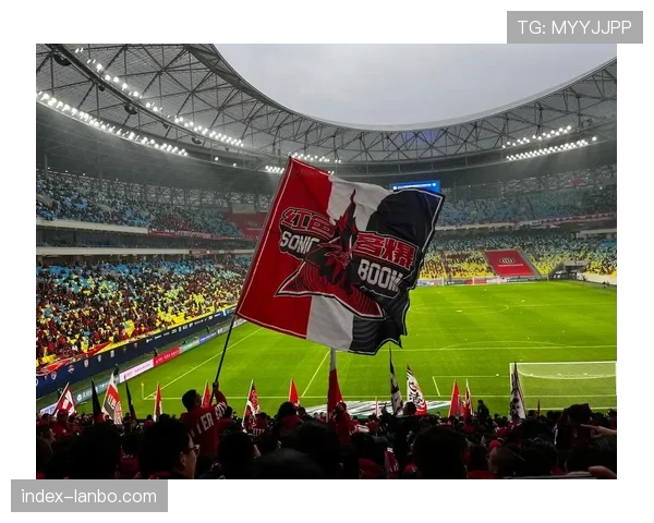 成都凤凰山足球场周边社区联赛开幕，中超俱乐部提供教练与场地支持